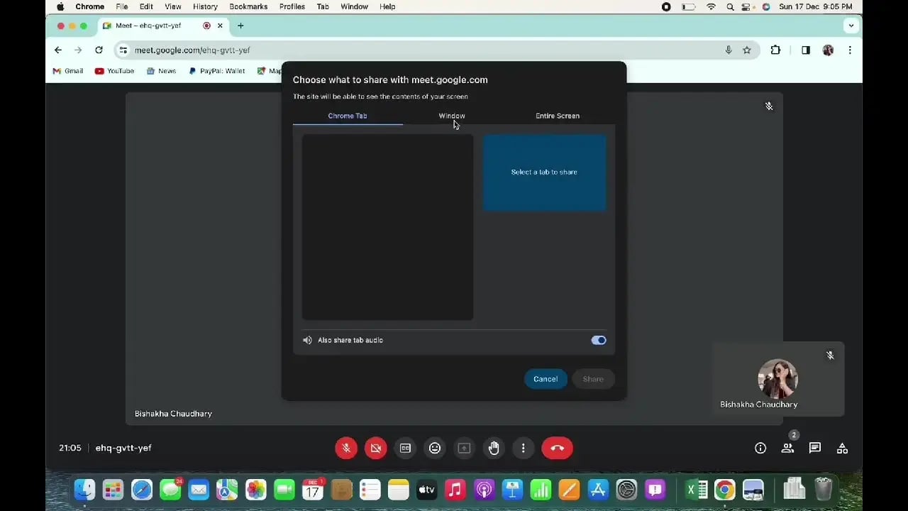 A video call interface on a computer screen demonstrating the screen-sharing selection window for virtual meetings.