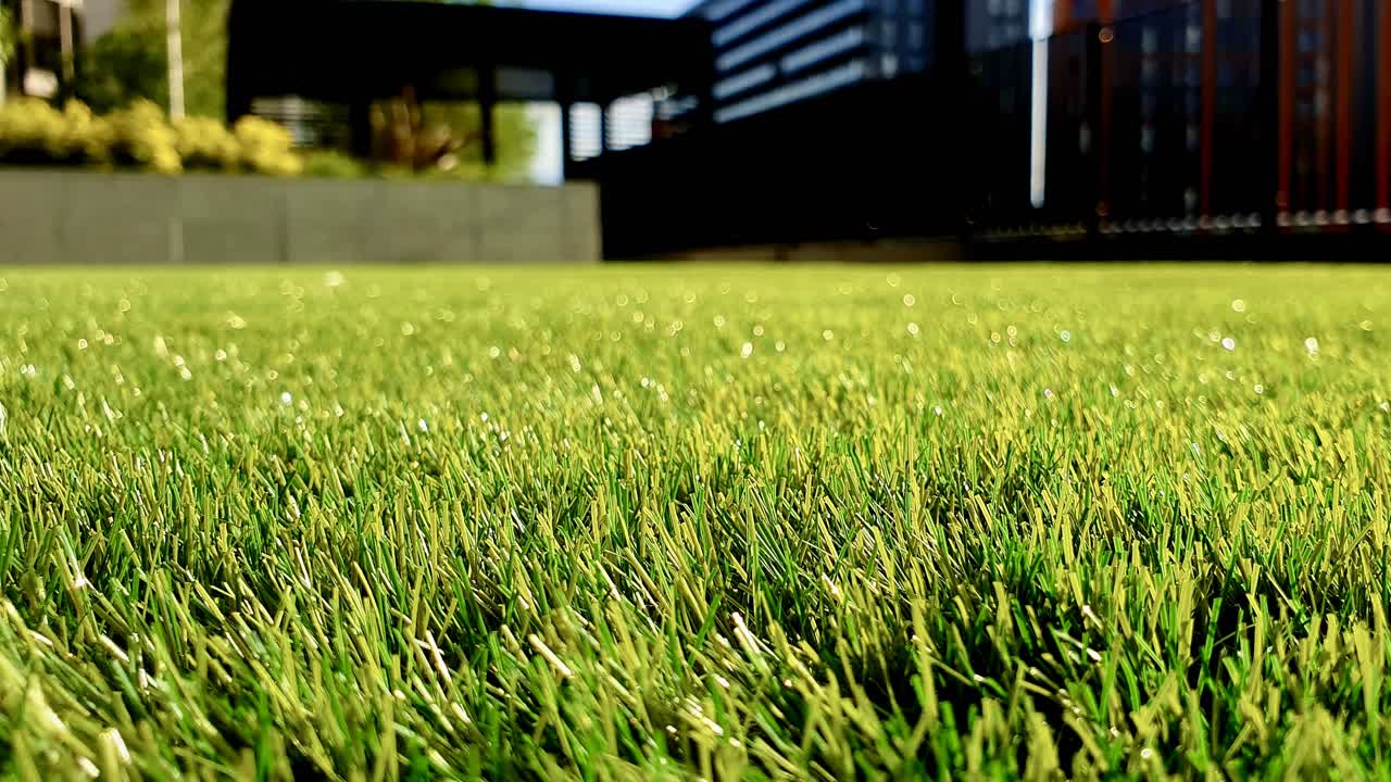 Lush Green Mastery: Perfect Lawn in a few Simple Steps